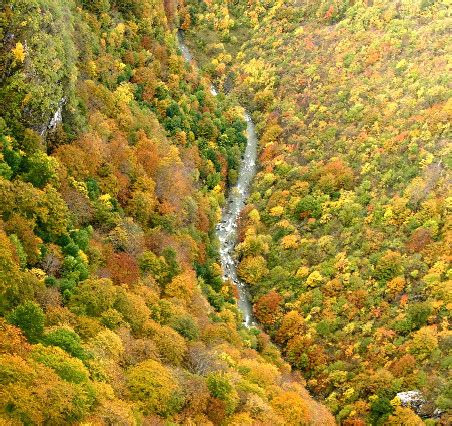 Bosnia Herzegovina Canyon Of River Rakitnica It S One Flickr