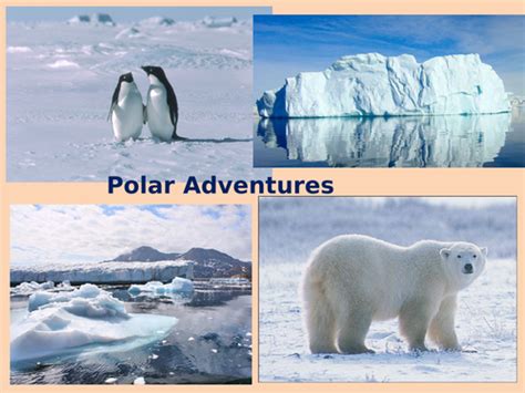 The Polar regions | Teaching Resources