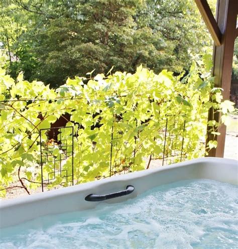 18 Backyard Hot Tub Privacy Ideas to Create an At-Home Oasis