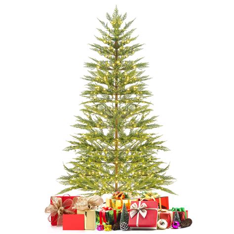 cypress tree christmas 2
