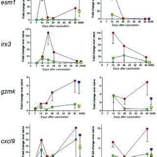 Independent Validation Of A Subset Of Genes By QRT PCR Demonstrates