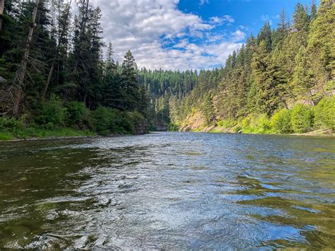 Montana Trout Outfitters World Class Fly Fishing