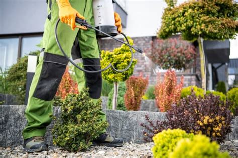 Control De Plagas Y Enfermedades En El Jardín Sotoser