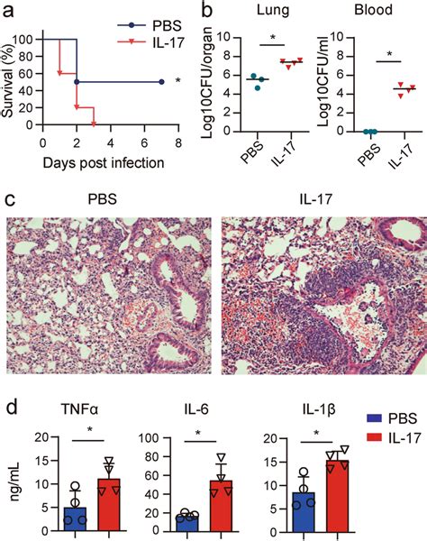 IL 17 Enhances Pulmonary A Baumannii Infection Il17 Mice Was