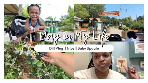 Ditl Vlog Trips Baby Pregnant Mom Vlog Youtube