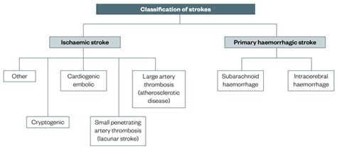 Classification Of Strokes Download Scientific Diagram