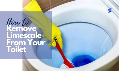 How To Remove Limescale From Your Toilet 6 Best Solutions