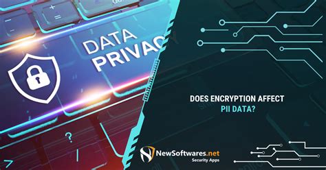 Does Encryption Affect PII Data Newsoftwares Net Blog