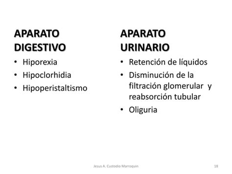 Hipotiroidismo Ppt