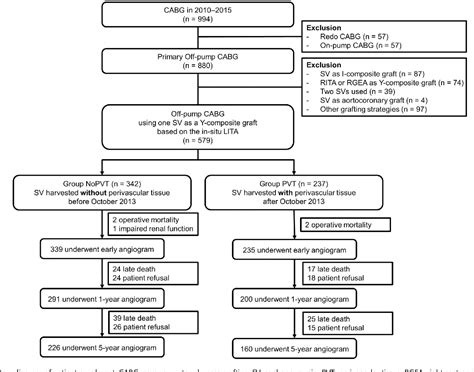 Figure From The Impact Of Perivascular Tissue Preservation On Year