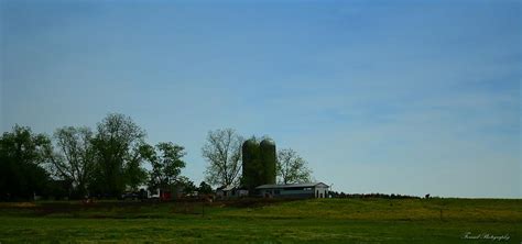 Florida Farmlands Photograph by Debra Forand - Fine Art America