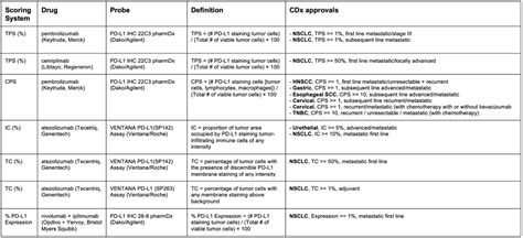 Pd L Companion Diagnostics And Scoring Systems Precision Oncology