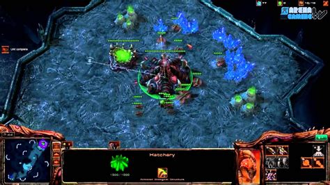 Arenagamingtv Starcraft X Zerg X Terran Ai Insane Hd Youtube