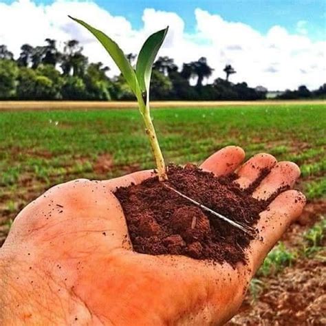 Pin De Ariane Kroth Em Vida No Campo Agronomia Paisagem Rural Paisagens