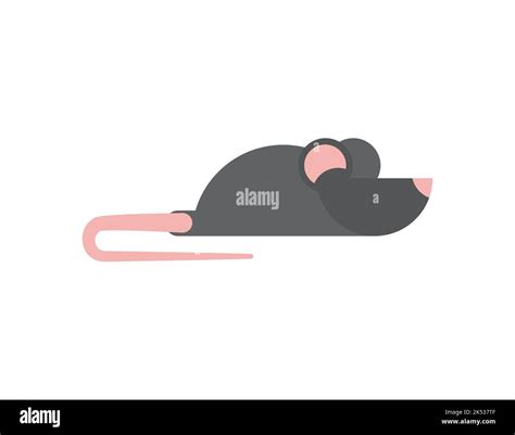 Mouse Rodent Isolated Rat Vector Illustration Stock Vector Image And Art