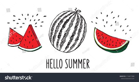 Doodle Watermelon Background Pattern Hand Drawn Stock Vector Royalty