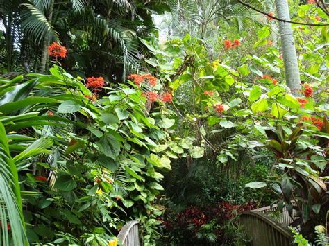 Ideas For Small Tropical Garden Lovetoknow Advice Women Can Trust