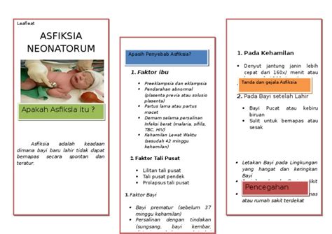 Leaflet Asfiksia Neonatorum 1 Pdf