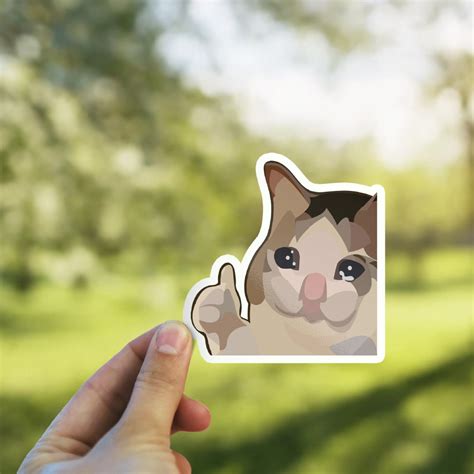 Sad cat thumbs up sticker! : r/sticker