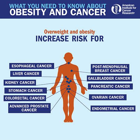 Can Obesity Cause Cancer Full Circle Healing