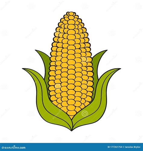 Super Corn Crop Vector Logo Template Organic Grain Sign Icons Of