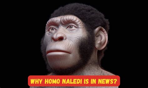 Why Homo Naledi is in News? Know about Homo Naledi