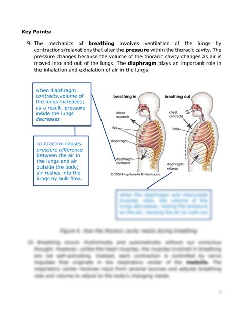 SOLUTION: 7 mechanics of breathing - Studypool