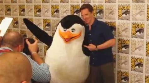 Video Benedict Cumberbatch Befriends a Penguin - ABC News