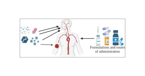 understanding mucosal physiology  rationale  formulation design