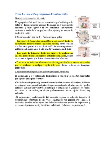 Tema 4 Inmuno Pdf