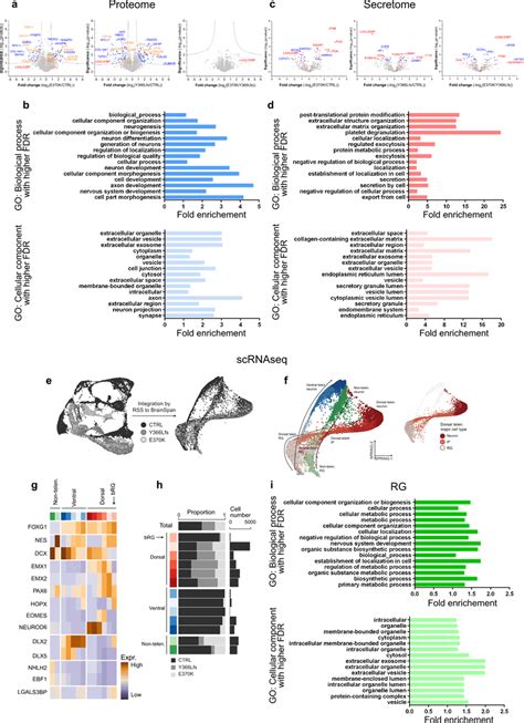 Proteomics Secretomics And Scrna Sequencing Reveal Altered Signatures