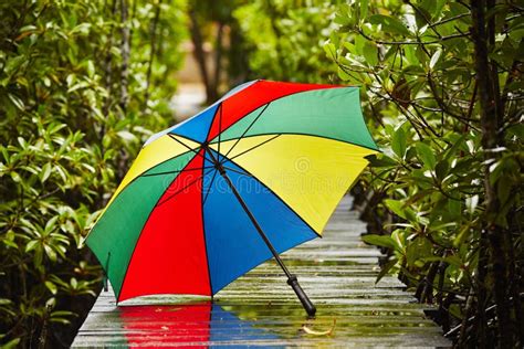 Umbrella In Rain Stock Image Image Of Climate Pavement 38967069