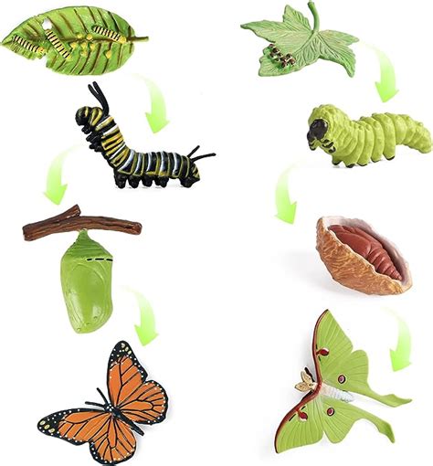 SIENON 4pcs Butterfly Life Cycle Toy Figurines And 4pcs Actias