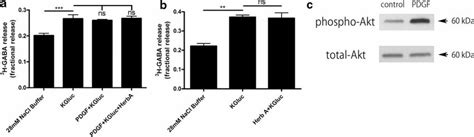 Pdgf Induced Tyrosine Kinase Modulation Does Not Affect Fractional 3