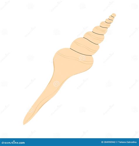 Long Spiral Sea Shell Marine Mollusc Stock Vector Illustration Of