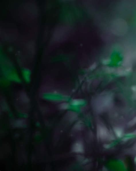 [30+] Blur Background Images, Picart Blur Background Images Download ...