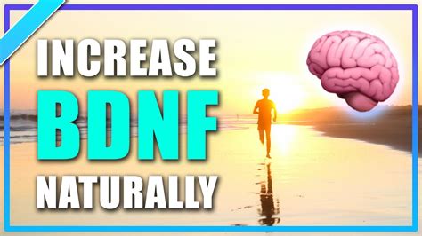 How Running And Exercise Improves Memory Bdnf Neurogenesis Brain