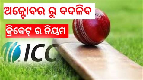 Icc New Rule Cricket News Odisha Odia Cricket News Sport Update