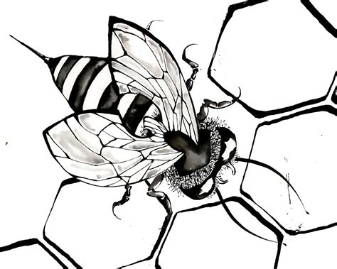 Bee Line Drawing Clipart Best