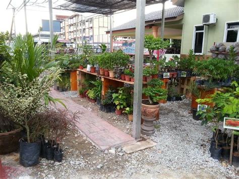 Pembukaan Rasmi Nursery Kota Di Penaga