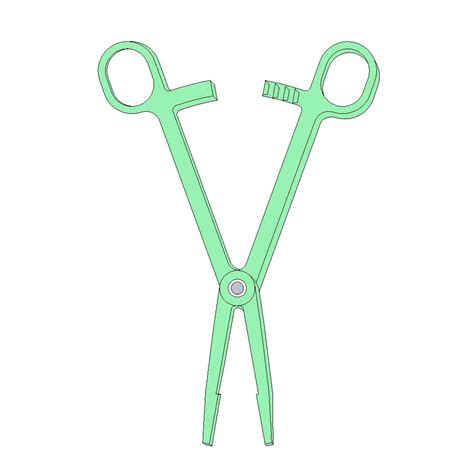 Sponge Forceps - Invenio