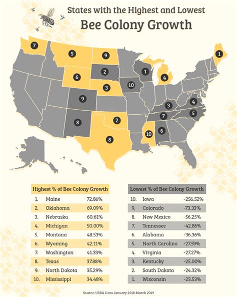 Bee Lieve It Or Not Michigan Bee Populations Are On The Rise According