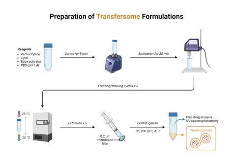 preparation  transfersomes formulations biorender science templates