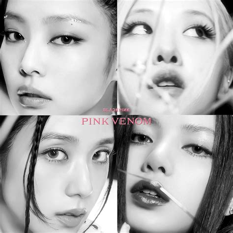 christopher — BLACKPINK - “PINK VENOM” - Alternate Album Arts