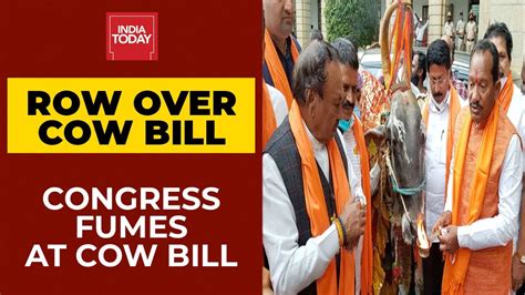 Anti Cow Slaughter Bill Passed In Karnataka Assembly Congress Fumes At