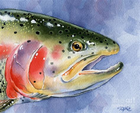 Rainbow Trout Painting By David Rogers Fine Art America