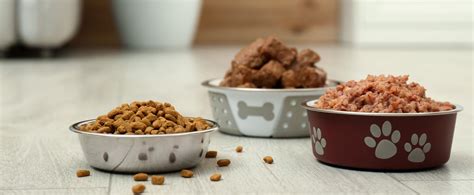 Die richtige Ernährung für Welpen