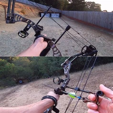 Best Compound Bow For Hunting 2024 Best Hunting Bow