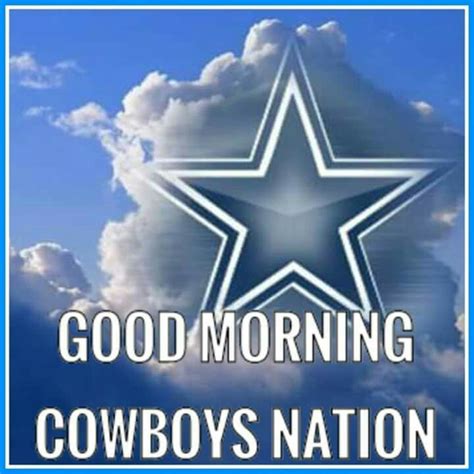 Pin by Arturo Perez on COWBOYNATION | Dallas cowboys memes, Dallas ...