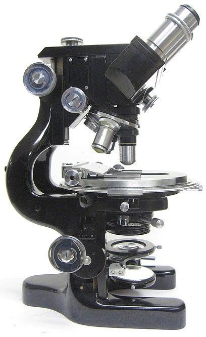 Bausch&Lomb DDE research microscope AK3160 from 1941 | Microscope, Minimalist icons, Microscopic